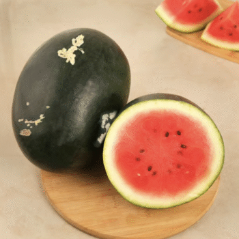 Kiran Watermelon (Tarbuj)